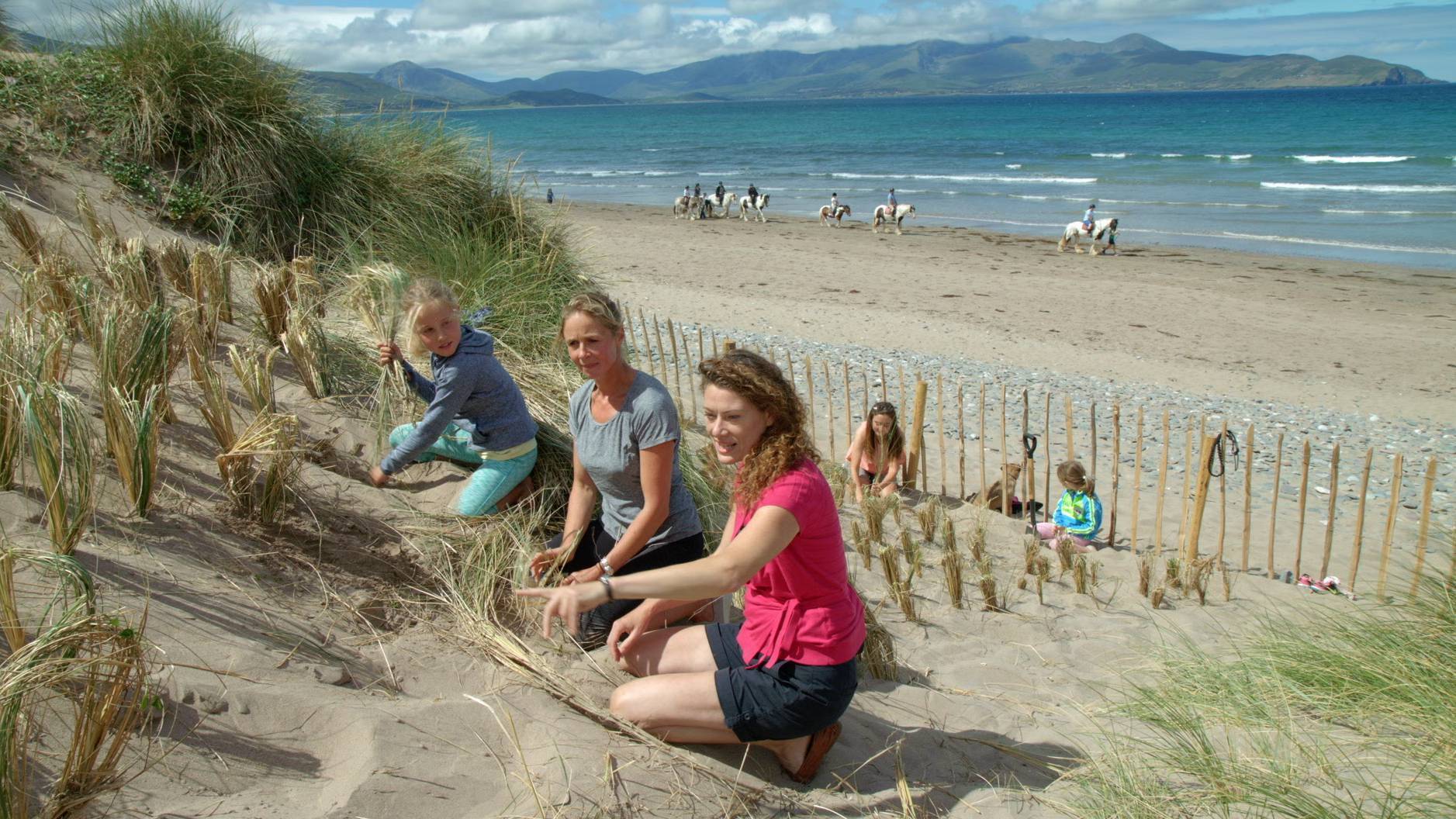 Anja Murray: Save Our Sand dunes — we need them now more than ever