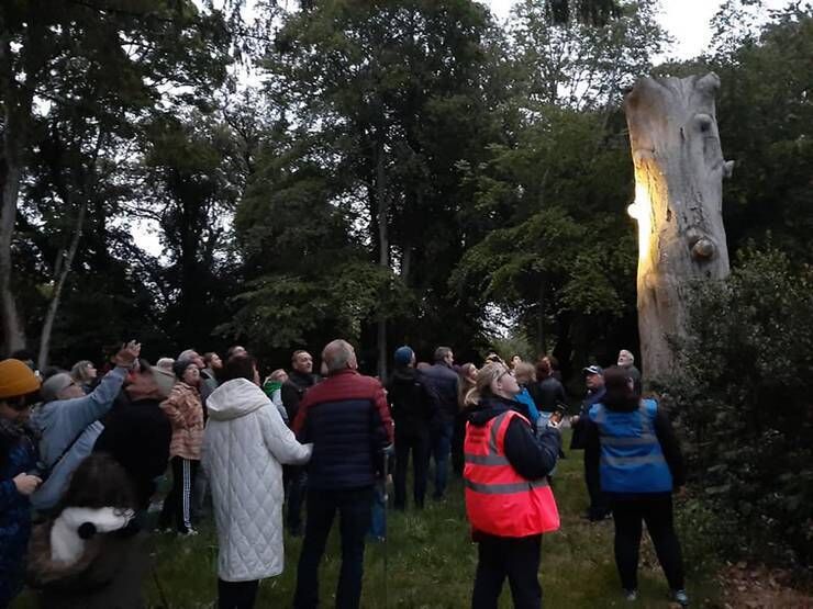 A bat walk led by Bat Conservation Ireland at Kilkenny Castle to mark Biodiversity Week A bat walk led by Bat Conservation Ireland at Kilkenny Castle to mark Biodiversity Week