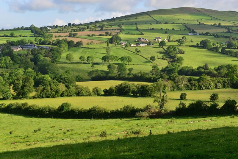 Beautiful hedgerows across Irish countryside: they also offer practical benefits for landowners in the way of drainage and shelter for livestock