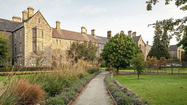 <p>The man was remanded in custody at the Central Mental Hospital on the grounds that he is unfit to plead guilty to a charge of attempting to murder his mother. File picture</p>