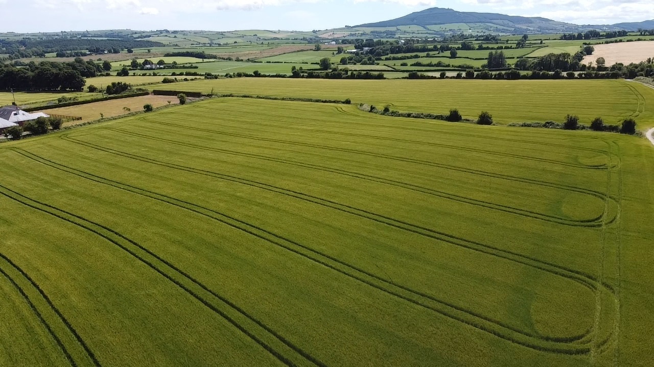 145-acre Waterford farm with mixture of uses guiding at €15k/acre