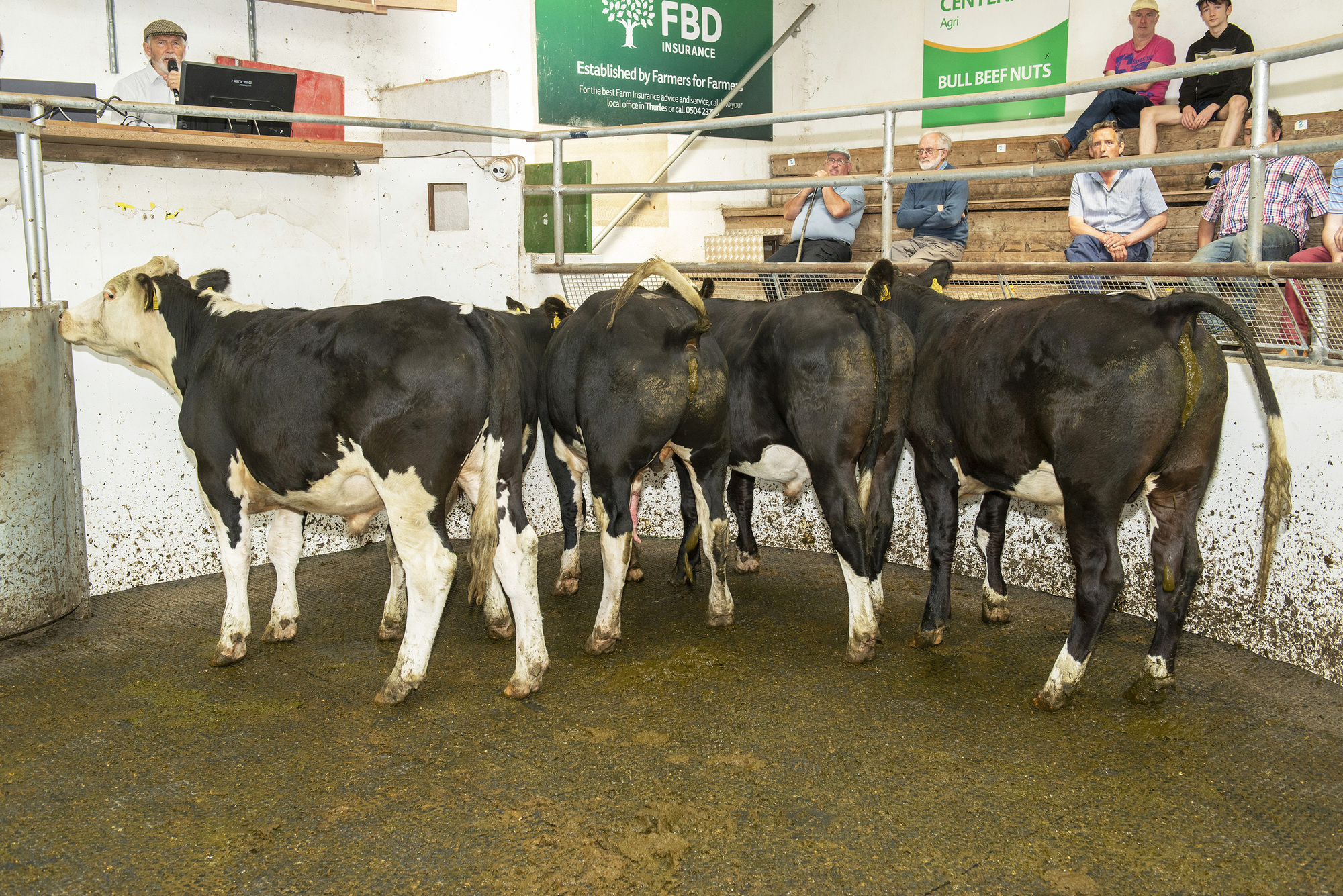 Beef trade: Downward slide continues as processors pull back prices by another 10c/kg