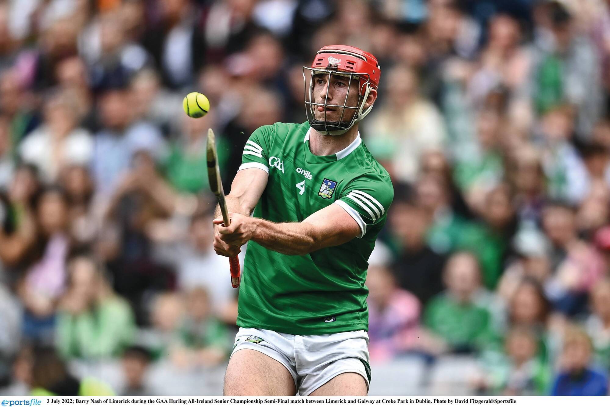 Colin Ryan: Barry Nash is the perfect example, but Limerick's versatility is team-wide 