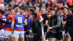 <p>FIGURES: Irish television audiences are suckers for a punch-up. Photo: Ray McManus/Sportsfile</p>