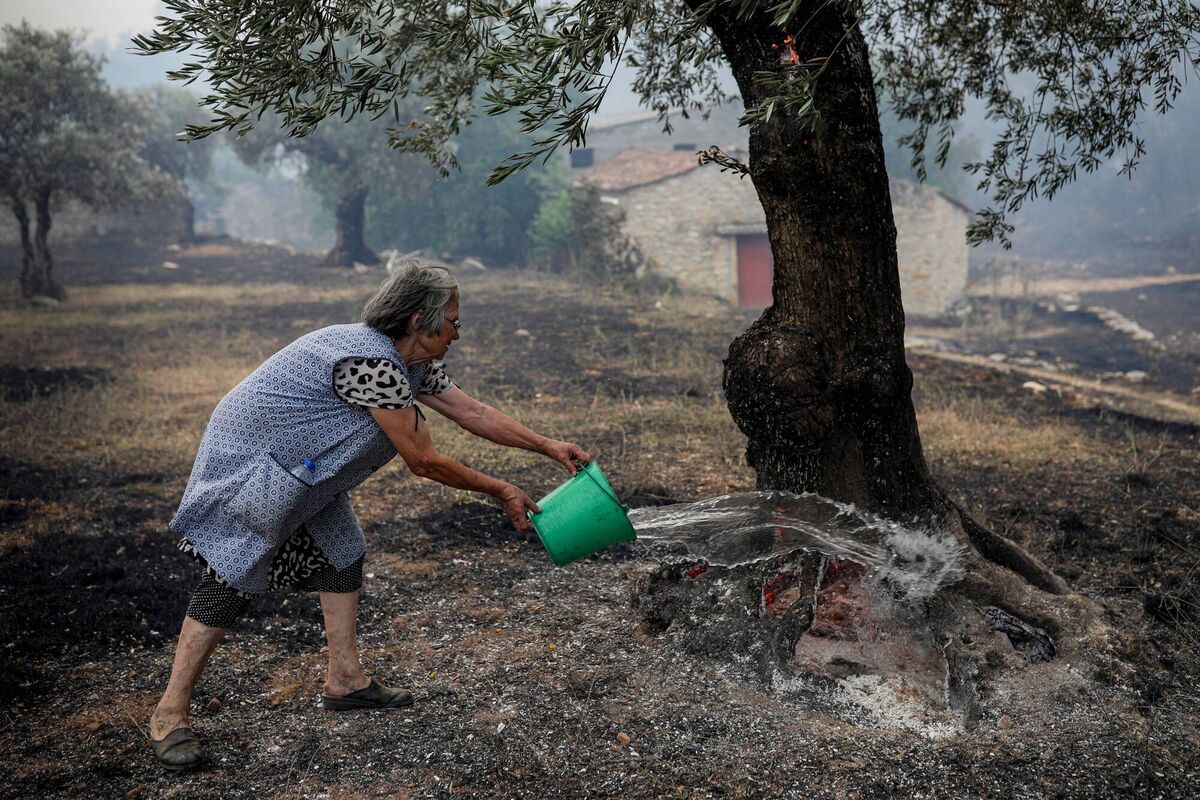 A resident uses a bucket of water to put out embers on olive trees in Moinhos Joao da Serra, in Ourem, Portugal. Picture: Pedro Rocha/AFP via Getty Images