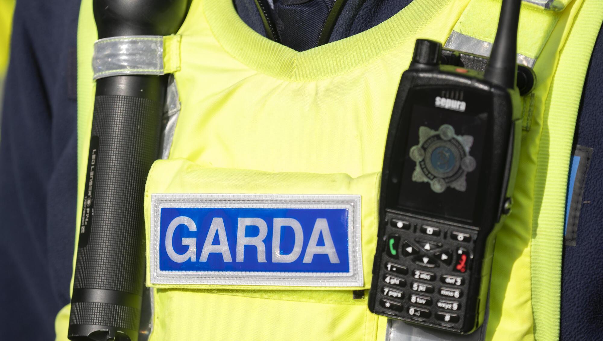 Figures show 34 deaths in or after Garda custody last year