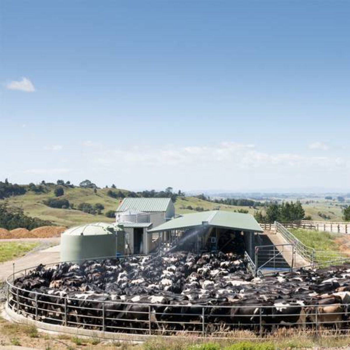 NZ Dairy Subsidies: Winners and Losers