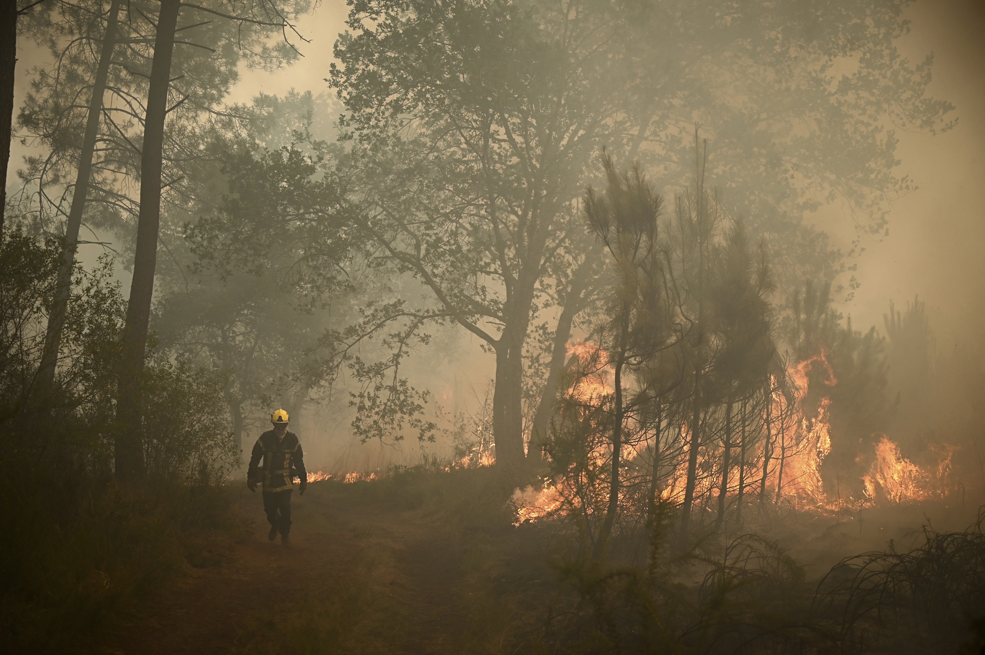 France and Spain fight wildfires as Europe swelters