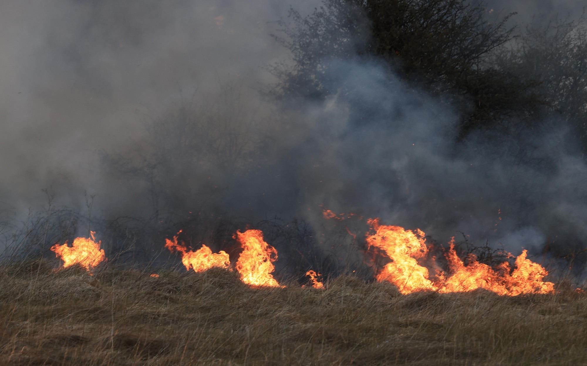 Ireland 'woefully unprepared' for 'more frequent and severe' extreme weather events
