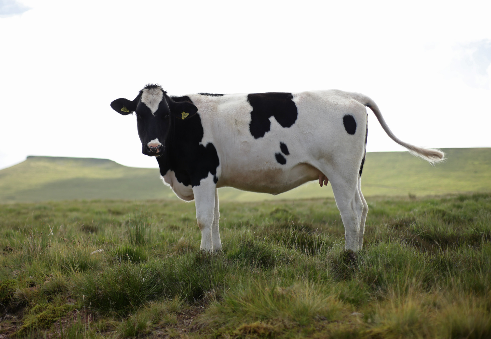 ‘Bogey-man’ agriculture sector will play part in climate change fight – minister