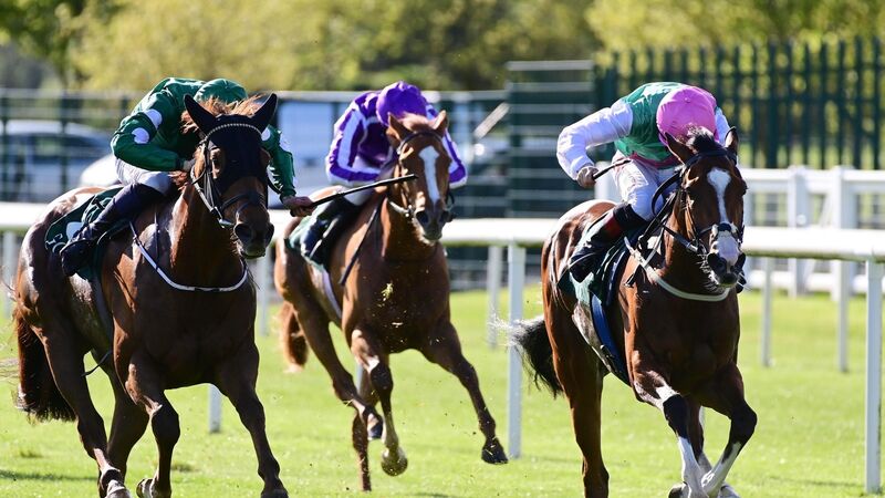 Irish tips: Sacred Bridge poised to defy top weight at Naas