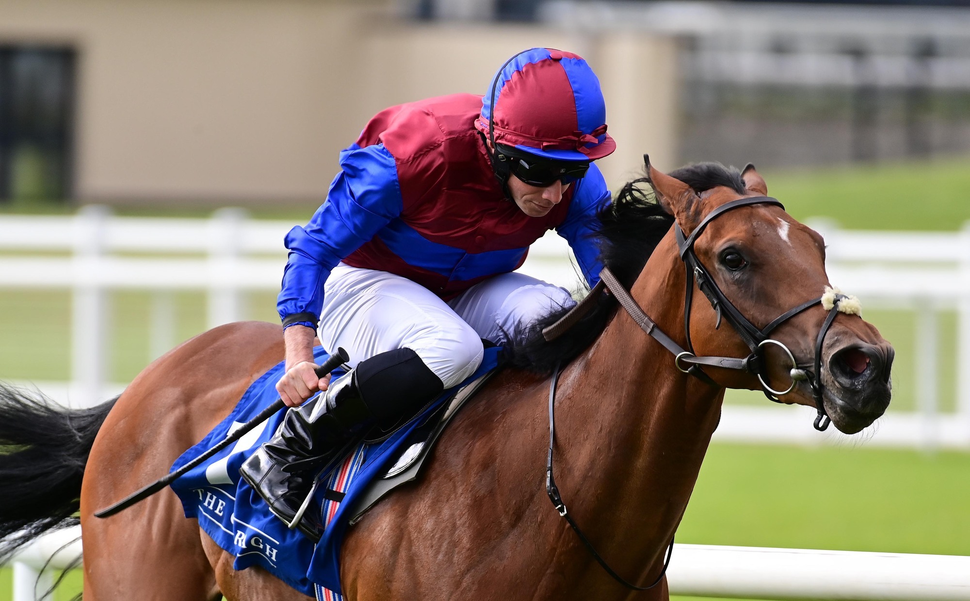 Irish tips: Step up in trip can do trick for Age Of Kings 