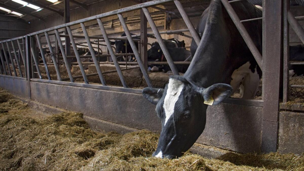 Agriculture remains by far the largest contributor to overall emissions, at 37.5% of the total. Agriculture remains by far the largest contributor to overall emissions, at 37.5% of the total.