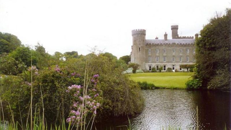 Garden Digest: Events to help you enjoy your room outside