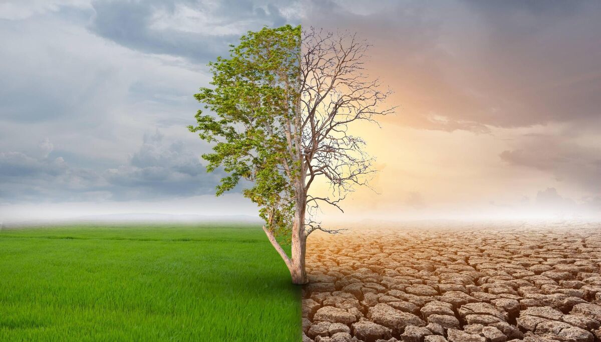 In its report — Ireland’s Provisional Greenhouse Gas Emissions — the EPA warns that total national greenhouse gas emissions in 2021 are estimated to have risen by 4.7% on 2020 levels.