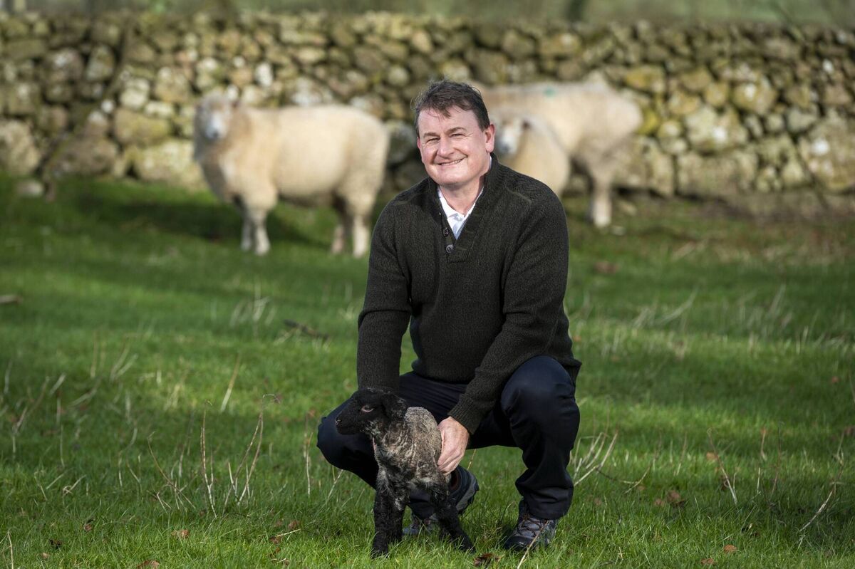 Michael Burke, sheep farmer and Woolow founder.