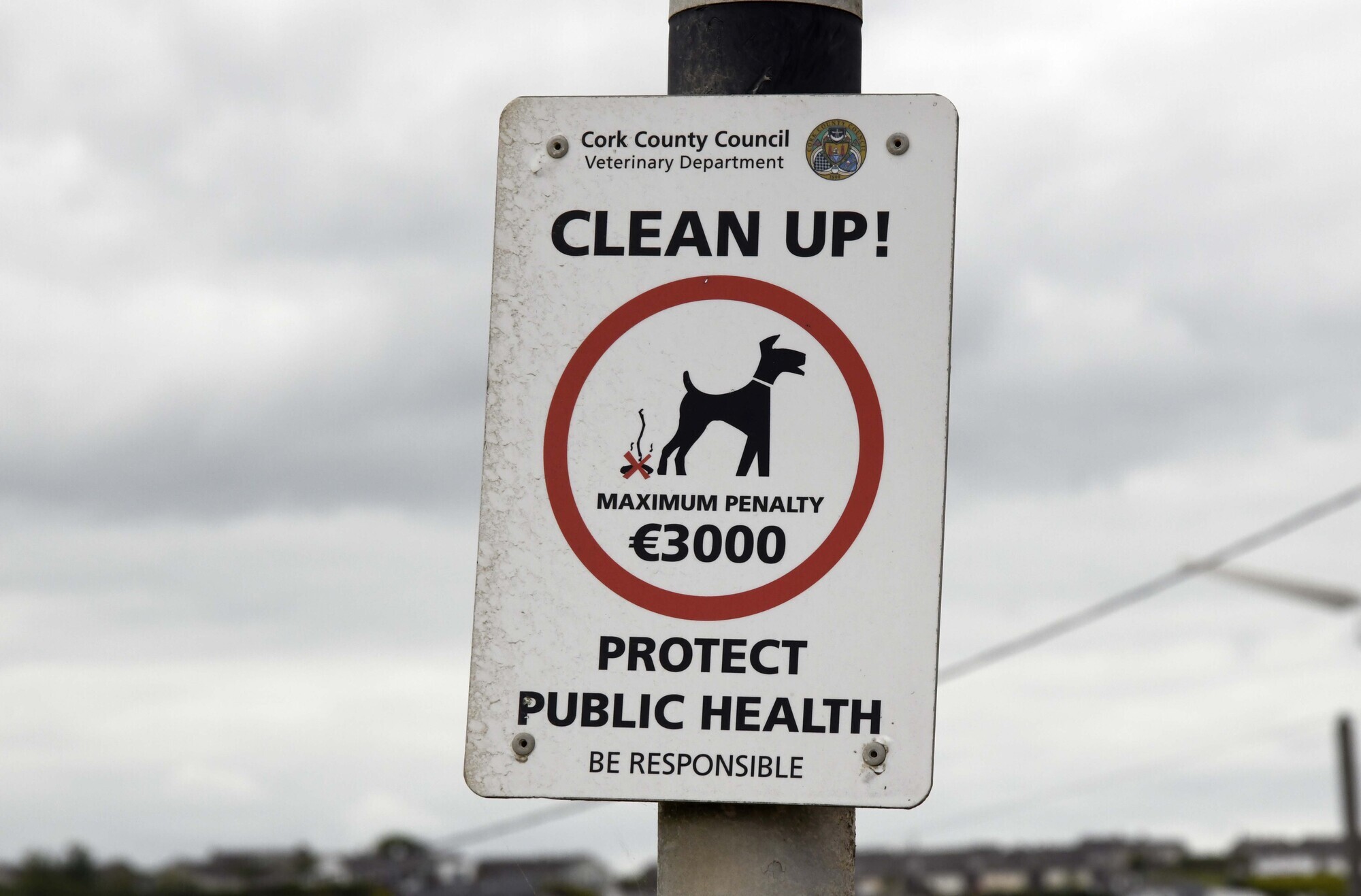 Public urged to report dog fouling due to 'revolting' conditions of Cork beaches