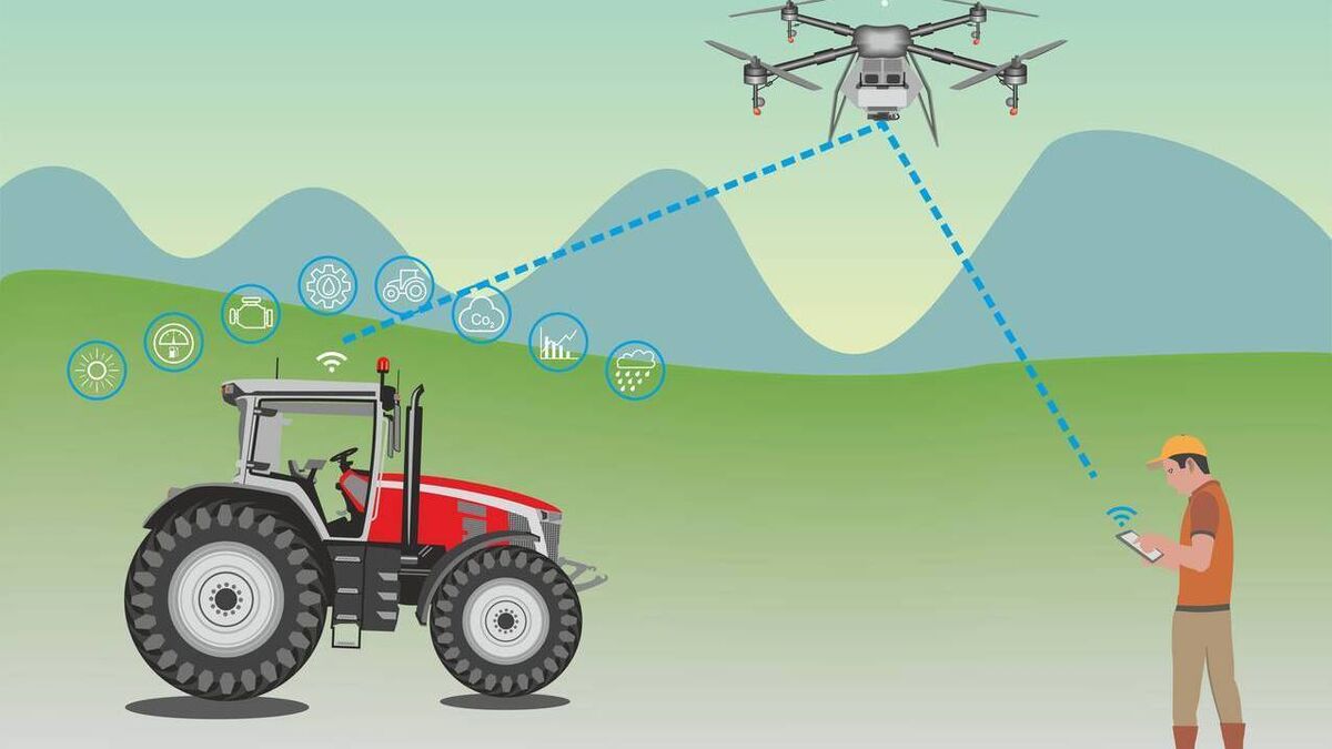 What will Irish farming look like in 10 years' time? - Vimarsana News