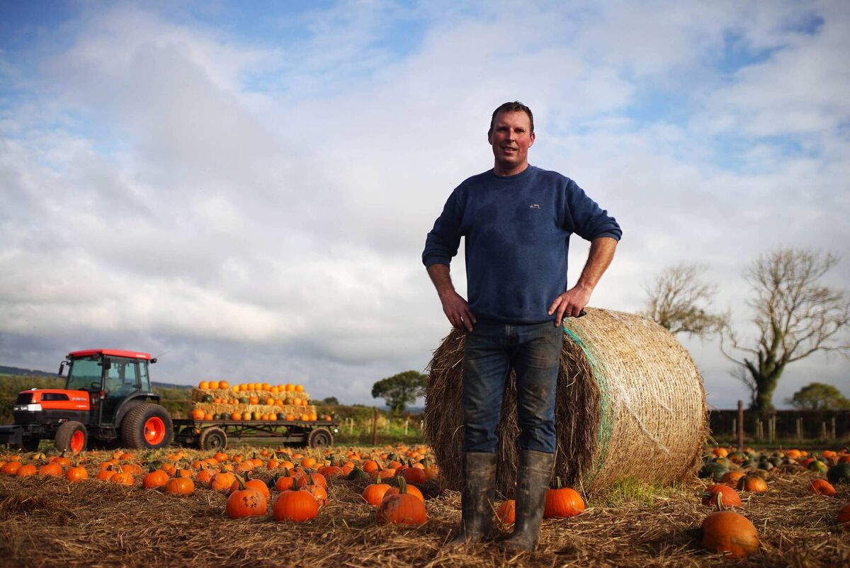 Joe Burns on his farm in Co Cork. Picture: Mostafa Darwish.
