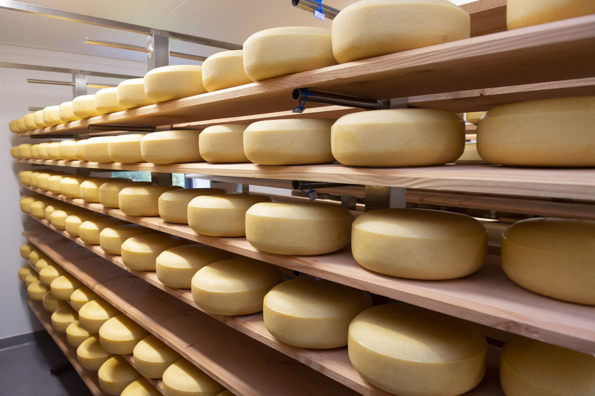 EU cheese has the second lowest market price of the big exporters, 9% below the US price. File picture Dan Linehan