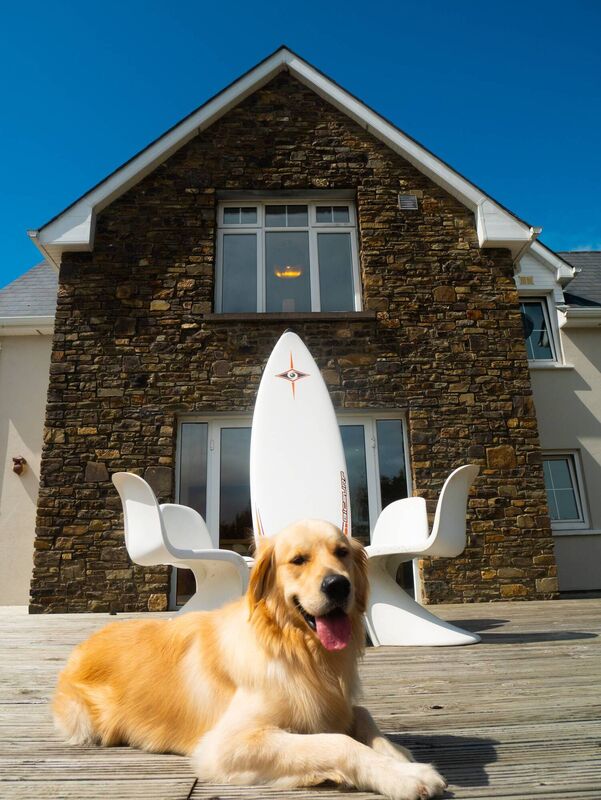 Doggone: Enzo the retriever is set to wave goodbye Doggone: Enzo the retriever is set to wave goodbye