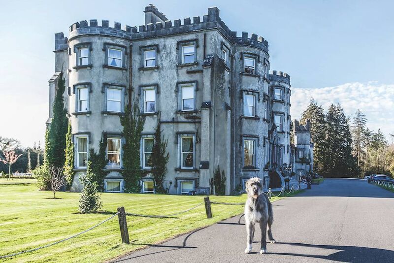The exterior of Ballyseede Castle. 