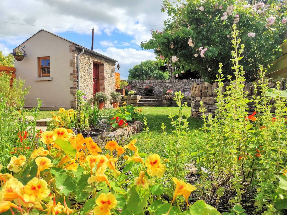 Back garden with shed/outhouse/home office