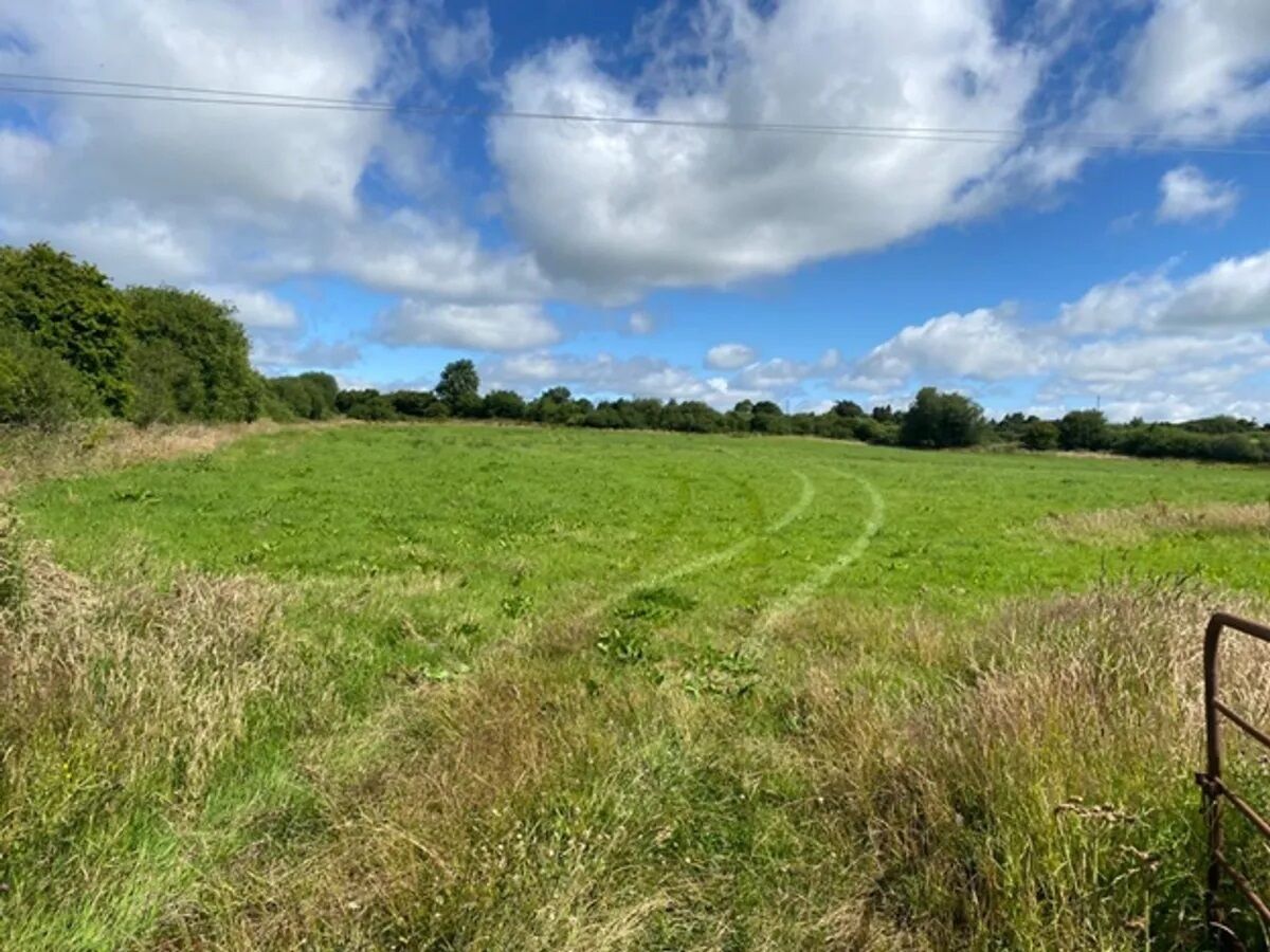 Some of the land on the 53-acre holding at Knockbaun, Abbeyleix