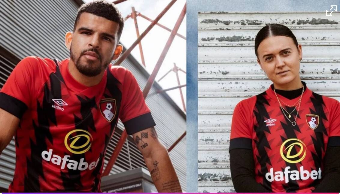 AFC Bournemouth. Pic: Premier League