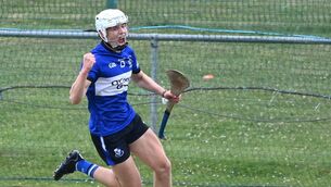 <p>Sarsfields' Colm McCarthy celebrates his goal against Charleville during the Co-Op Superstores Cork PSHC at Mallow . Picture; Eddie O'Hare</p>