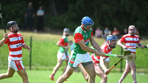 <p>RELIABLE: Declan Dalton, Fr O'Neill's in action against Courcey Rovers. Pic: Larry Cummins</p>