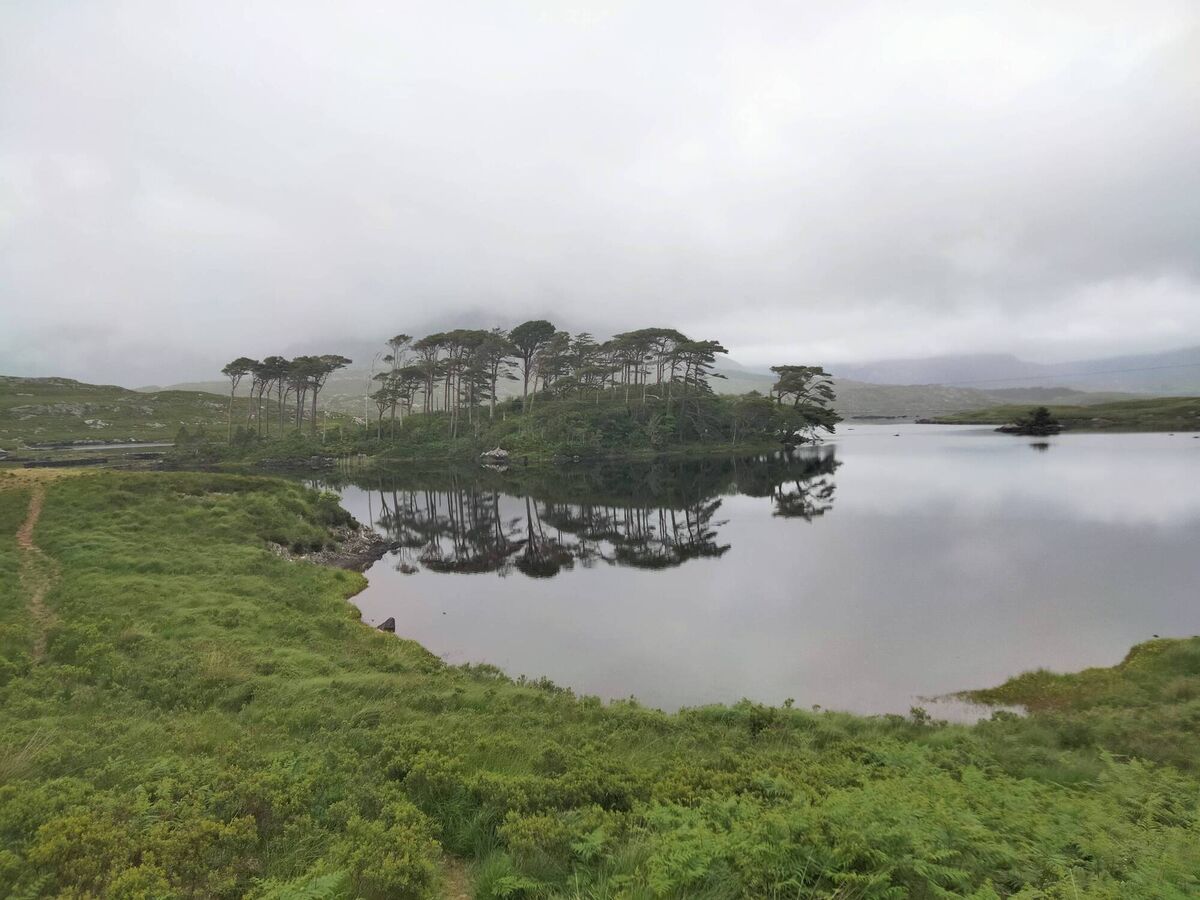 The very popular Pine Island, on the Galway road to Clifden. Picture: Dan MacCarthy The very popular Pine Island, on the Galway road to Clifden. Picture: Dan MacCarthy