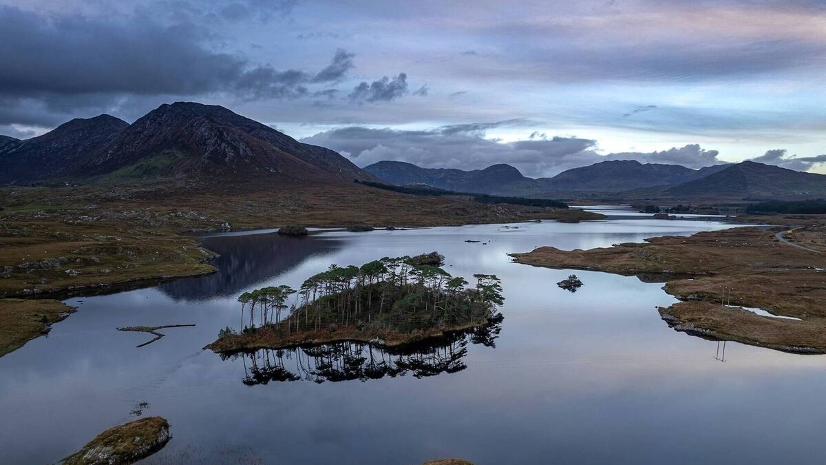 Islands of Ireland: Galway's Pine Island makes for a perfect picture — and mug or cushion - Vimarsana News