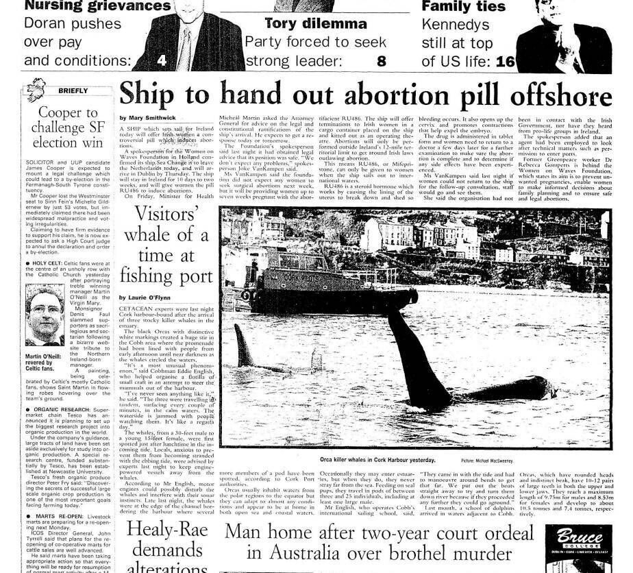 Whales in cork june 2001 caroline delaney