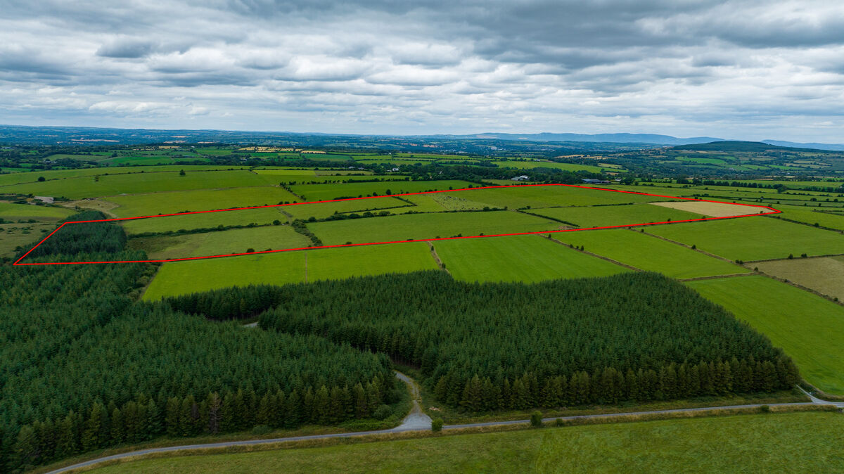 Some of the pasture land and forestry on the 83-acre farm.