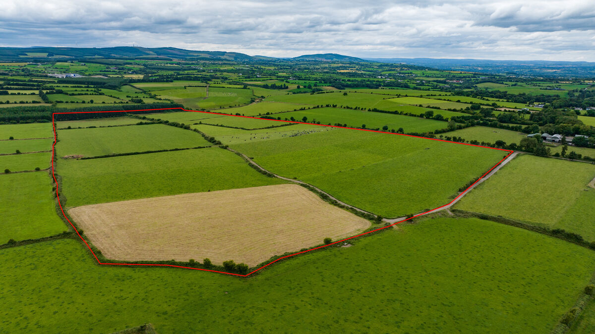 The land on this 83-acre farm near Mallow may be ideal for farmers seeking to spread their obligations load over larger tracts of land due to the new agricultural emissions targets recently announced.