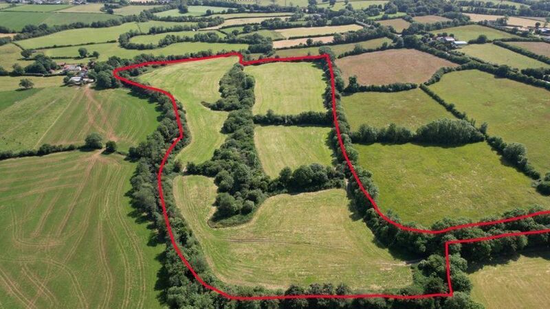 30-acre East Cork farm offers quality grassland