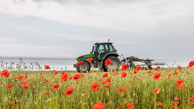 Technologies for today and tomorrow: What to expect from agtech open day