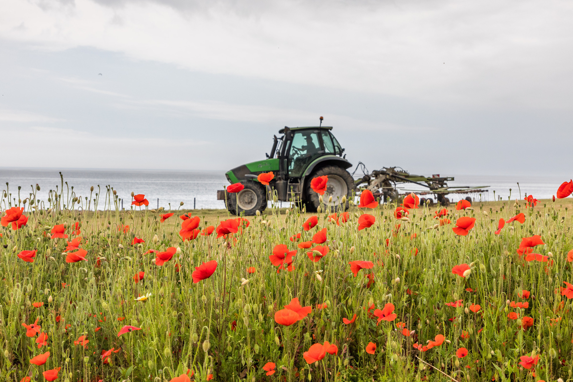 Dr Karl Richards, head of the Teagasc Environment, Soils and Land-Use Department, said: 'Farming is facing challenges to maintain and improve its sustainability in terms of reducing emissions, improving water quality, maintaining soil health and improving biodiversity.' File picture: David Creedon