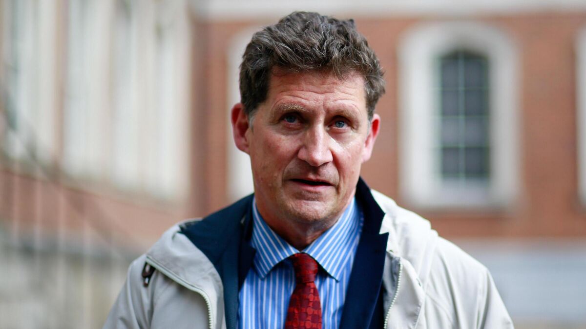 Eamon Ryan's mother dies following holiday accident - Vimarsana News