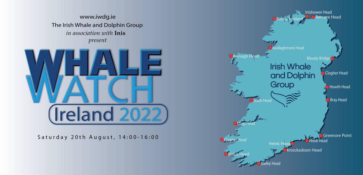 August 20: IWDG.ie Irish Whale and Dolphin Group Whale Watch Ireland 2022 