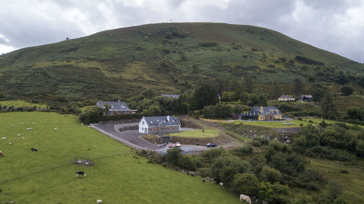 Picture: Dan Linehan Picture: Dan Linehan