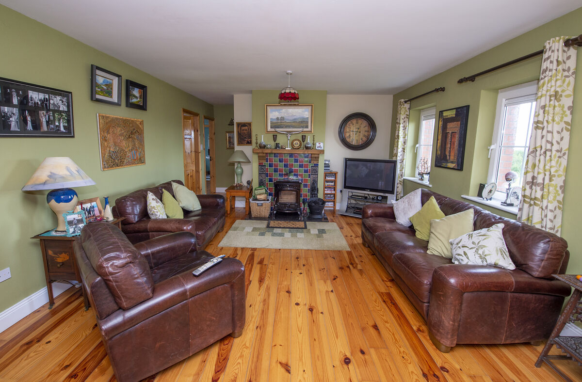 The living room. Picture: Dan Linehan The living room. Picture: Dan Linehan