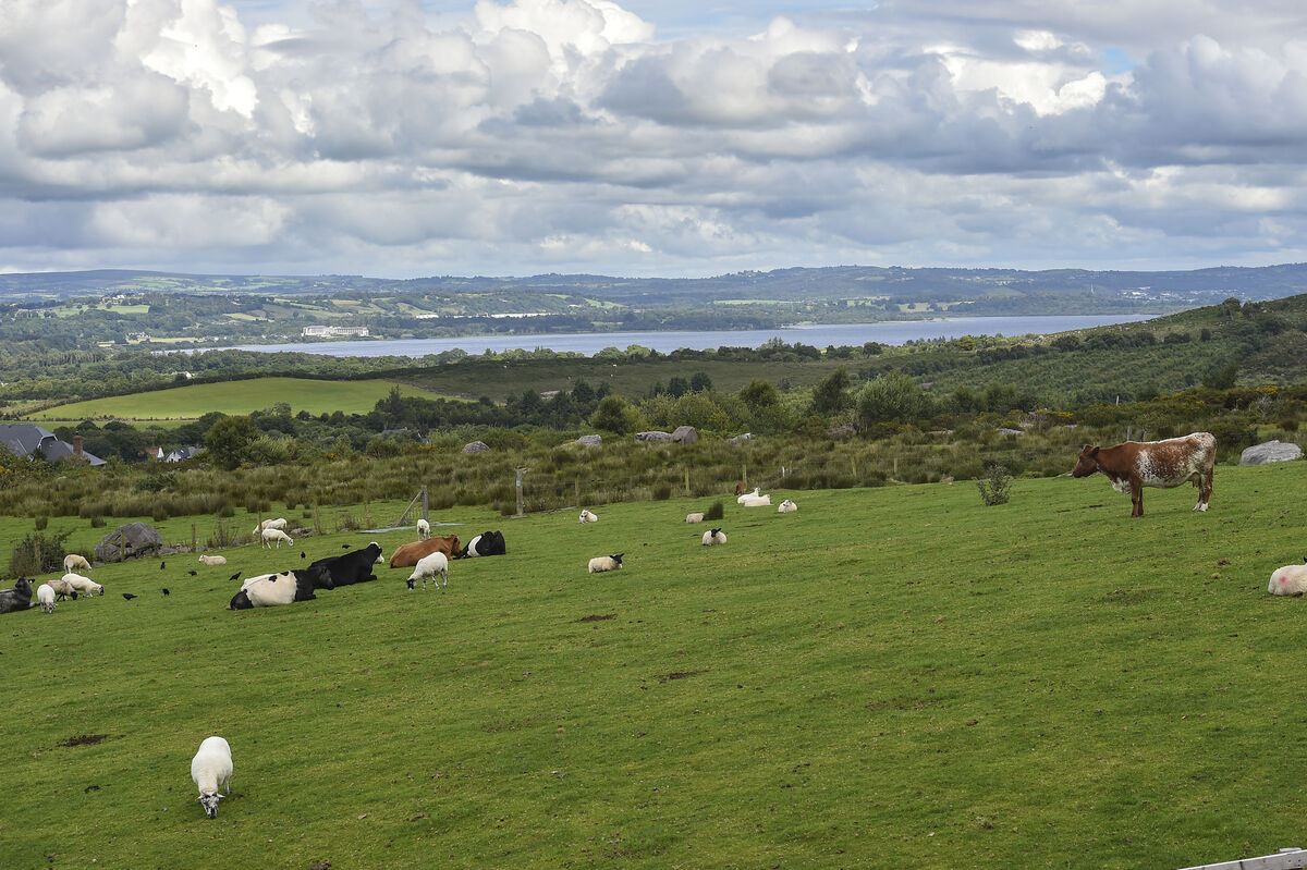The view from the master bedroom looking towards Lough Leane. Picture: Dan Linehan The view from the master bedroom looking towards Lough Leane. Picture: Dan Linehan