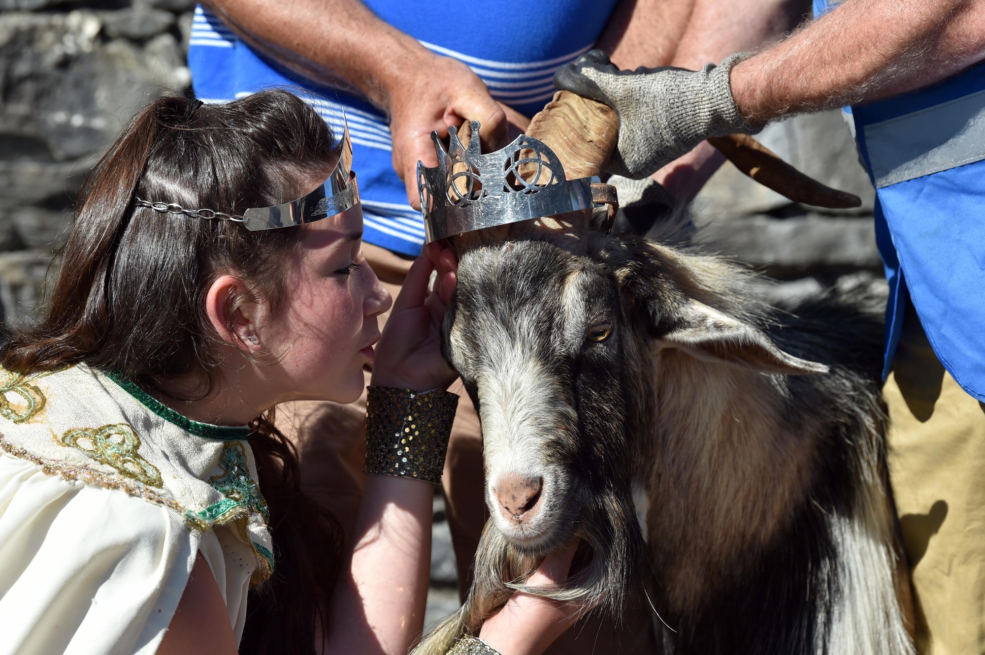 Puck Fair goat taken down as 175 complaints made to animal welfare hotline