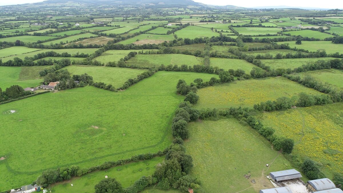 The 83.5-acre farm is being presented in one lot.