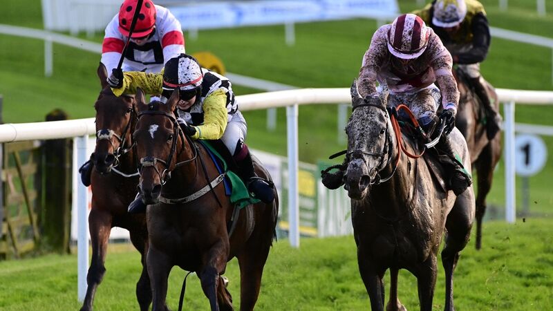 Sligo tips: The Grey Monty should prove a tough nut to crack