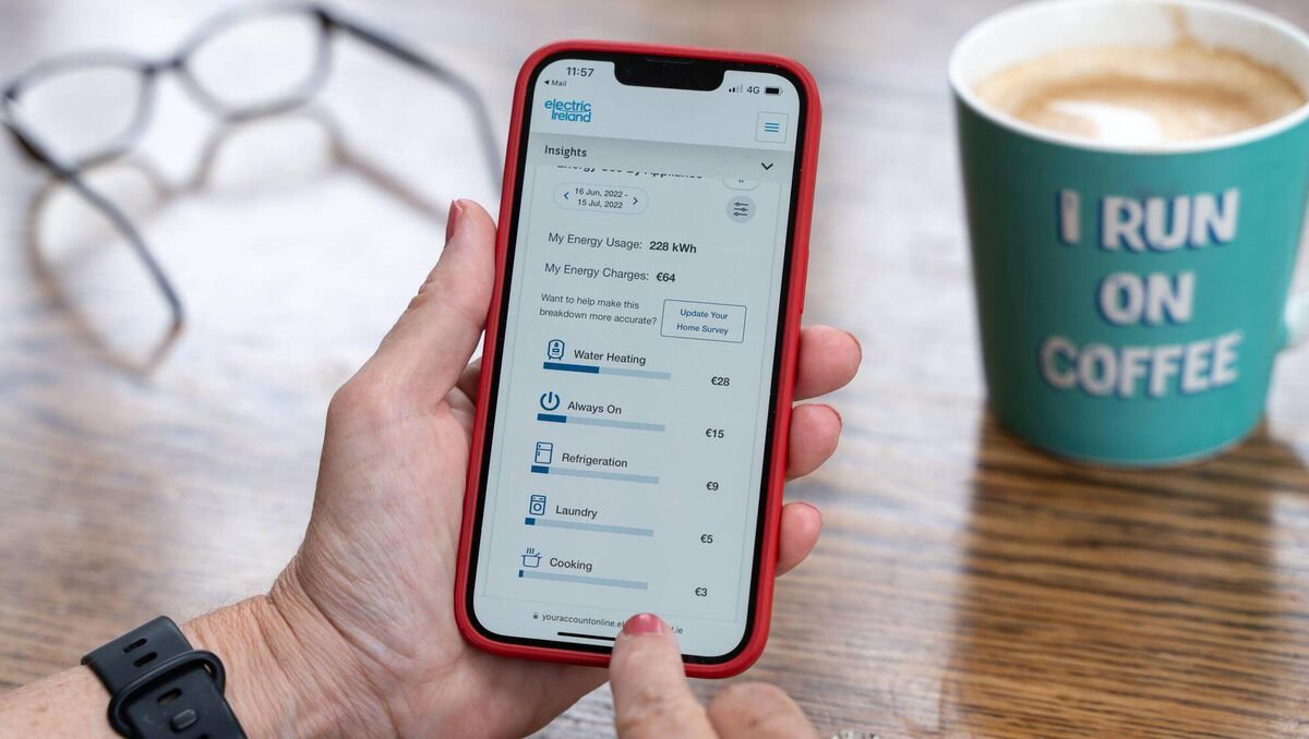 Electricity usage is broken down by easy-to-read categories.