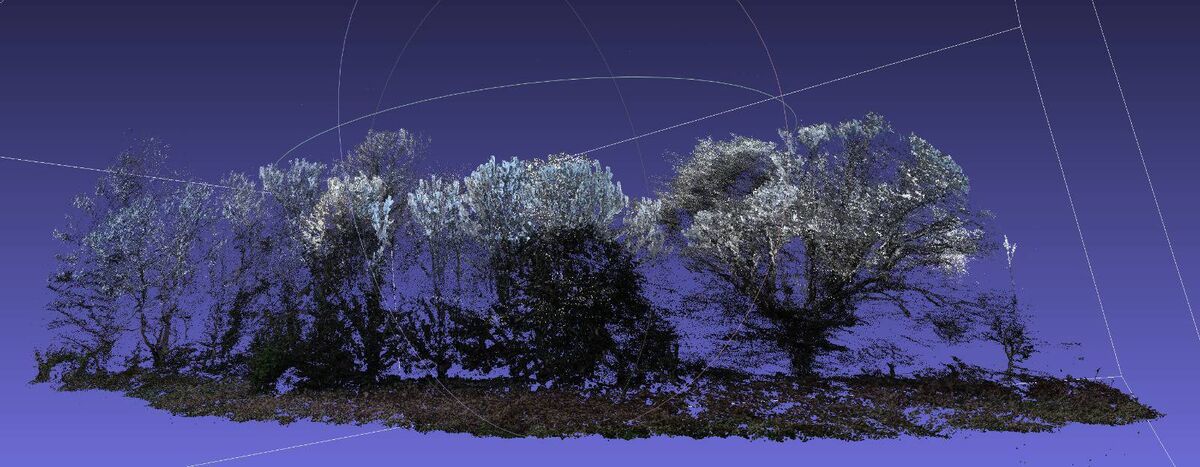 The Farmeye project sets out to measure hedgerow carbon and habitat value using a range of space assets including satellite imagery.
