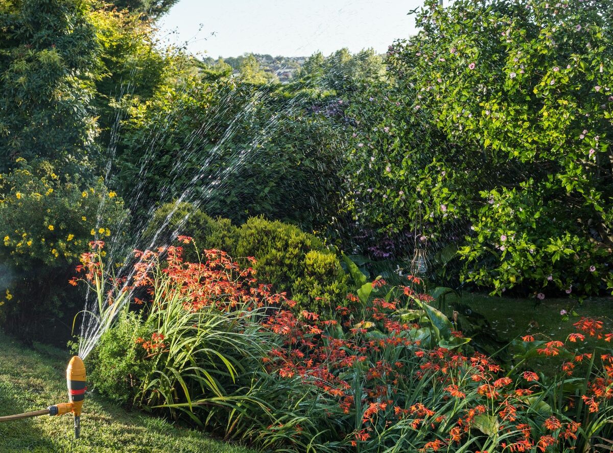  Residents are being urged to keep the garden hose in the shed, avoid filling pools and to re-use water in filled pools.